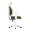 Ортопедическое кресло Synif Inno Health SY-1264 W-GN