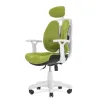 Ортопедическое кресло Synif Inno Health SY-1264 W-GN