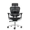 Кресло Falto Ergohuman Elite 2  (чёрный каркас/сетка чёрный T-168-B1 Black)