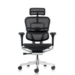 Кресло Falto Ergohuman Elite 2  (чёрный каркас/сетка чёрный T-168-B1 Black)