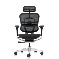 Кресло Falto Ergohuman Elite 2  (чёрный каркас/сетка чёрный T-168-B1 Black)