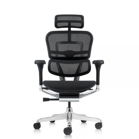 Кресло Falto Ergohuman Elite 2  (чёрный каркас/сетка чёрный T-168-B1 Black)