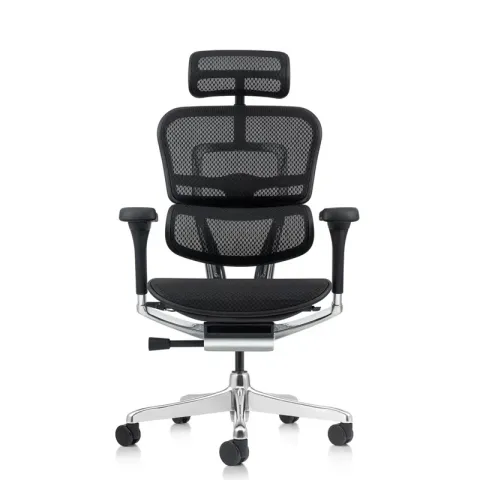 Кресло Falto Ergohuman Elite 2  (чёрный каркас/сетка чёрный T-168-B1 Black)