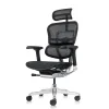 Кресло Falto Ergohuman Elite 2  (чёрный каркас/сетка чёрный T-168-B1 Black)