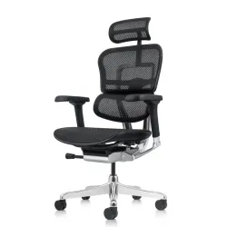 Кресло Falto Ergohuman Elite 2  (чёрный каркас/сетка чёрный T-168-B1 Black)