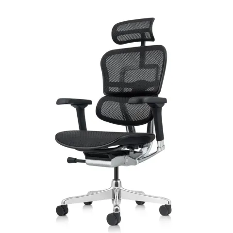 Кресло Falto Ergohuman Elite 2  (чёрный каркас/сетка чёрный T-168-B1 Black)