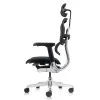 Кресло Falto Ergohuman Elite 2  (чёрный каркас/сетка чёрный T-168-B1 Black)