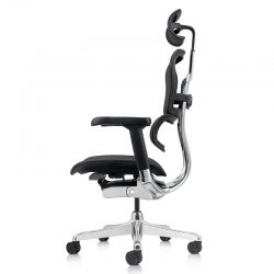 Кресло Falto Ergohuman Elite 2  (чёрный каркас/сетка чёрный T-168-B1 Black)