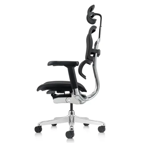 Кресло Falto Ergohuman Elite 2  (чёрный каркас/сетка чёрный T-168-B1 Black)