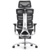 Компьютерное кресло Falto Evolution (чёрный каркас, сетка чёрная, подножка встроенная)