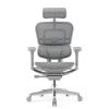 Кресло Falto Ergohuman Elite 2  (серый каркас /сетка светлаяT-168-B2 Natural)