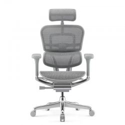 Кресло Falto Ergohuman Elite 2  (серый каркас /сетка светлаяT-168-B2 Natural)