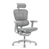Кресло Falto Ergohuman Elite 2  (серый каркас /сетка светлаяT-168-B2 Natural)