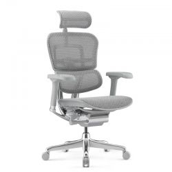 Кресло Falto Ergohuman Elite 2  (серый каркас /сетка светлаяT-168-B2 Natural)