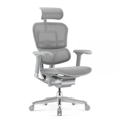 Кресло Falto Ergohuman Elite 2  (серый каркас /сетка светлаяT-168-B2 Natural)
