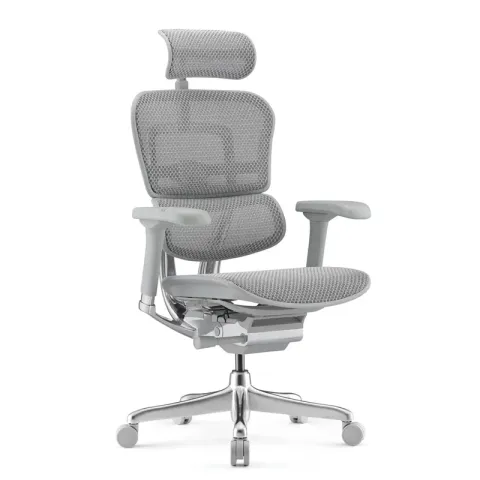 Кресло Falto Ergohuman Elite 2  (серый каркас /сетка светлаяT-168-B2 Natural)