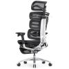 Компьютерное кресло Falto Evolution (чёрный каркас, сетка чёрная, подножка встроенная)