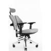 Ортопедическое офисное кресло Falto Orto Alpha AM-02A (черный каркас/обивка ткань d.grey)