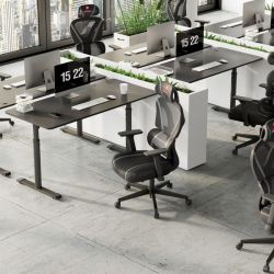 Эргономичное кресло Eureka Norn, Grey