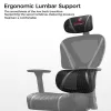 Эргономичное кресло Eureka Norn, Grey