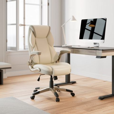 Эргономичное кресло Eureka OC11-OW, белое