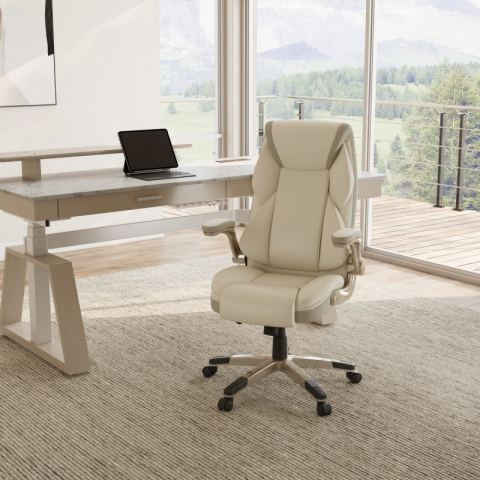 Эргономичное кресло Eureka OC11-OW, белое