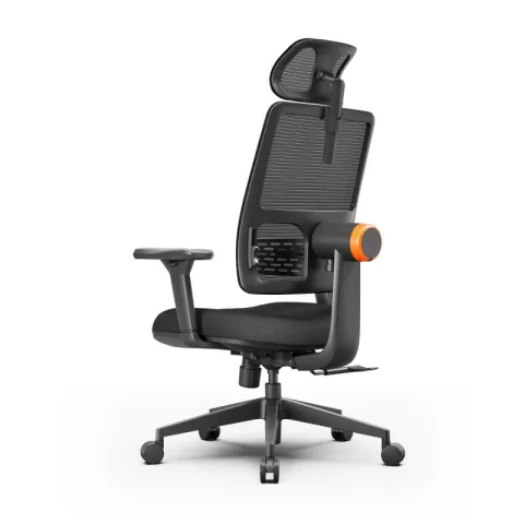 Эргономичное компьютерное кресло FoxGear NETZ модель E, черный