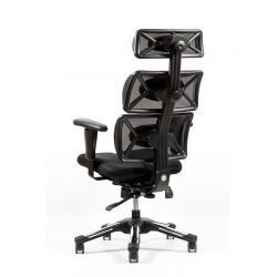 Компьютерное кресло Hara Chair Doctor спинка сетка, сиденье ткань