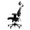 Ортопедическое кресло Hara Chair Nietzsche UD NT1 ткань