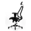 Ортопедическое кресло Hara Chair Uruus