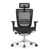 Кресло FALTO SPRING 2 (поясничный валик, подлокотники 6D(360), сетка, черный)