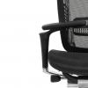 Кресло FALTO SPRING 2 (поясничный валик, подлокотники 6D(360), сетка, черный)