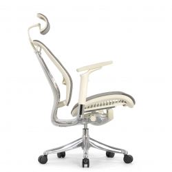 Кресло FALTO SPRING 2 (поясничный валик, подлокотники 6D(360),сетка, светлый)