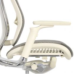 Кресло FALTO SPRING 2 (поясничный валик, подлокотники 6D(360),сетка, светлый)