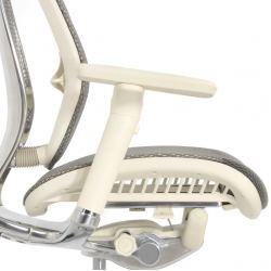 Кресло FALTO SPRING 2 (поясничный валик, подлокотники 6D(360),сетка, светлый)