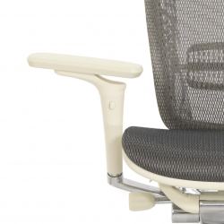 Кресло FALTO SPRING 2 (поясничный валик, подлокотники 6D(360),сетка, светлый)