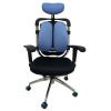 Ортопедическое кресло Enter office Enigma синий