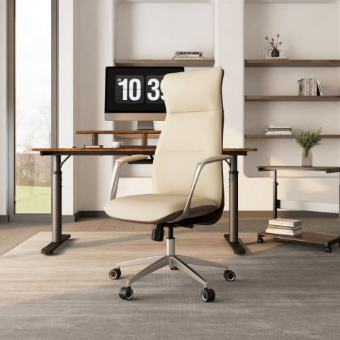 Эргономичное кресло Eureka OC08-OW, белое