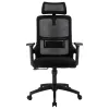 Кресло руководителя офисное  Everprof EP-530 Black Сетка Черный