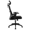 Кресло руководителя офисное  Everprof EP-530 Black Сетка Черный