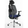 Кресло Falto Orto Bionic A92 Mesh BK-BL (черный каркас/сетка- ткань blue)