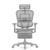 Кресло Falto Ergohuman Ultra с подножкой (серый каркас/сетка светлаяT-168-B2 Natural)