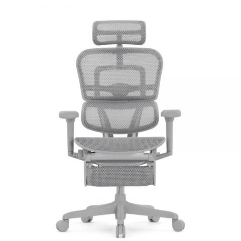 Кресло Falto Ergohuman Ultra с подножкой (серый каркас/сетка светлаяT-168-B2 Natural)