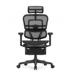 Кресло Falto Ergohuman Ultra с подножкой (чёрный каркас/сетка чёрный T-168-B1 Black)