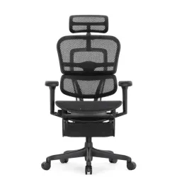 Кресло Falto Ergohuman Ultra с подножкой (чёрный каркас/сетка чёрный T-168-B1 Black)