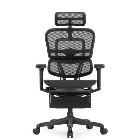 Кресло Falto Ergohuman Ultra с подножкой (чёрный каркас/сетка чёрный T-168-B1 Black)