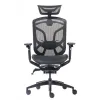 Премиум эргономичное кресло GT Chair Dvary X, чёрный