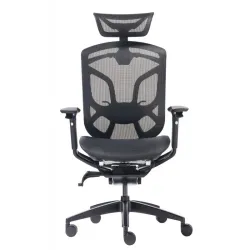 Премиум эргономичное кресло GT Chair Dvary X, чёрный