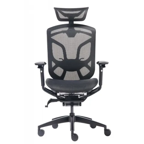 Премиум эргономичное кресло GT Chair Dvary X, чёрный
