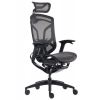 Премиум эргономичное кресло GT Chair Dvary X, чёрный